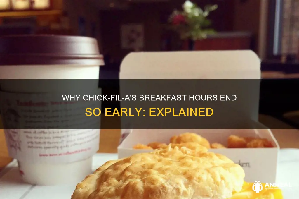 why does chick fil a breakfast end
