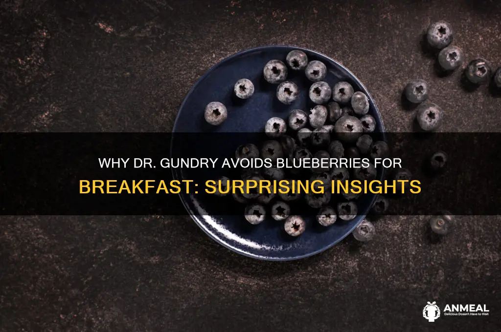 why does dr gundry not like blueberries for breakfast