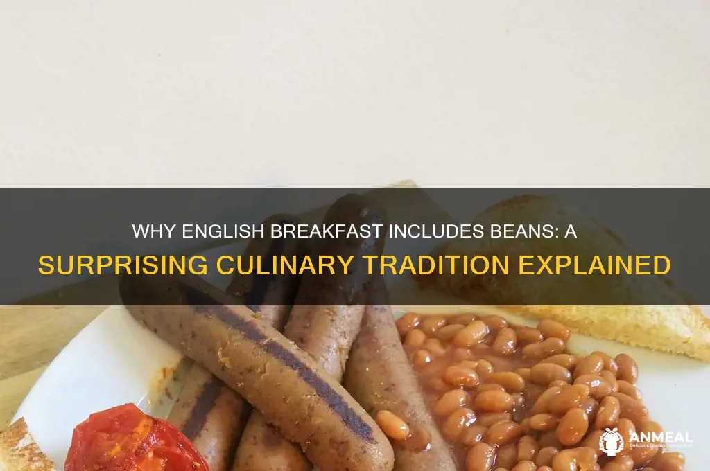 why does english breakfast have beans