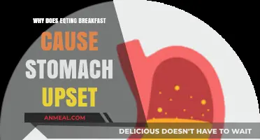 Skipping Breakfast: Why It Triggers Stomach Upset and Discomfort