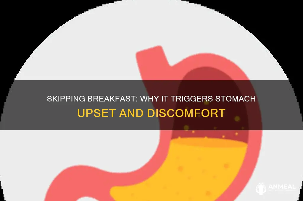 why does eqting breakfast cause stomach upset