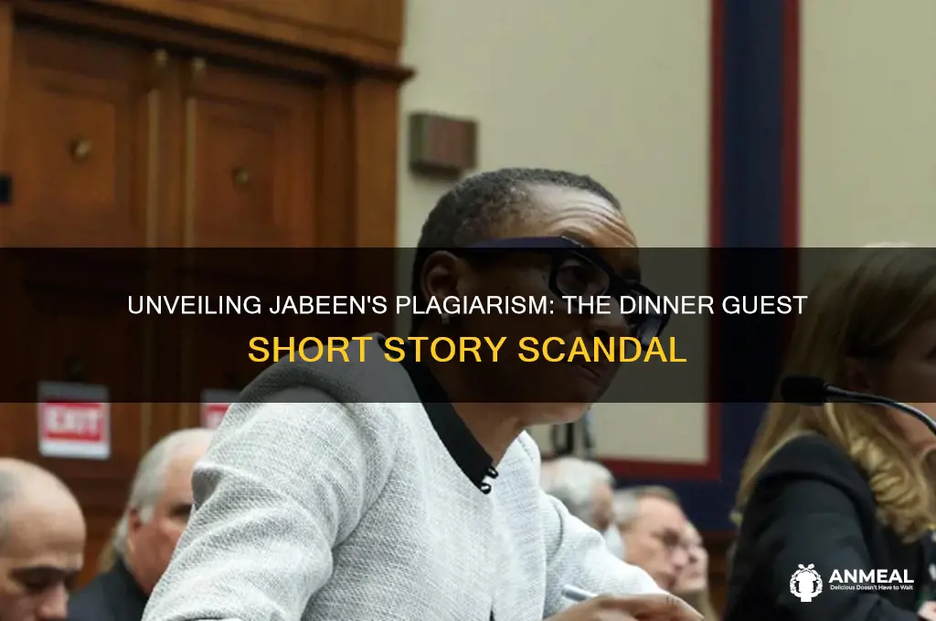 why does jabeen plagiarize the short story the dinner guest