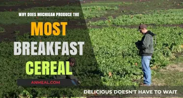 Michigan's Cereal Crown: Unraveling the State's Breakfast Dominance