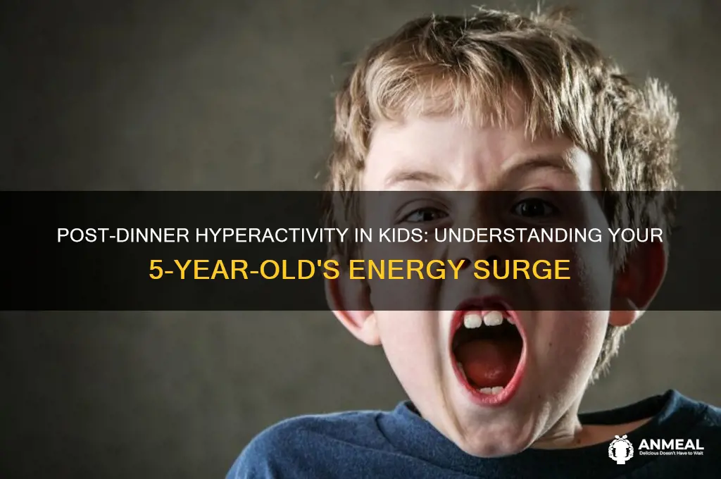 why does my 5 year old get hyper after dinner