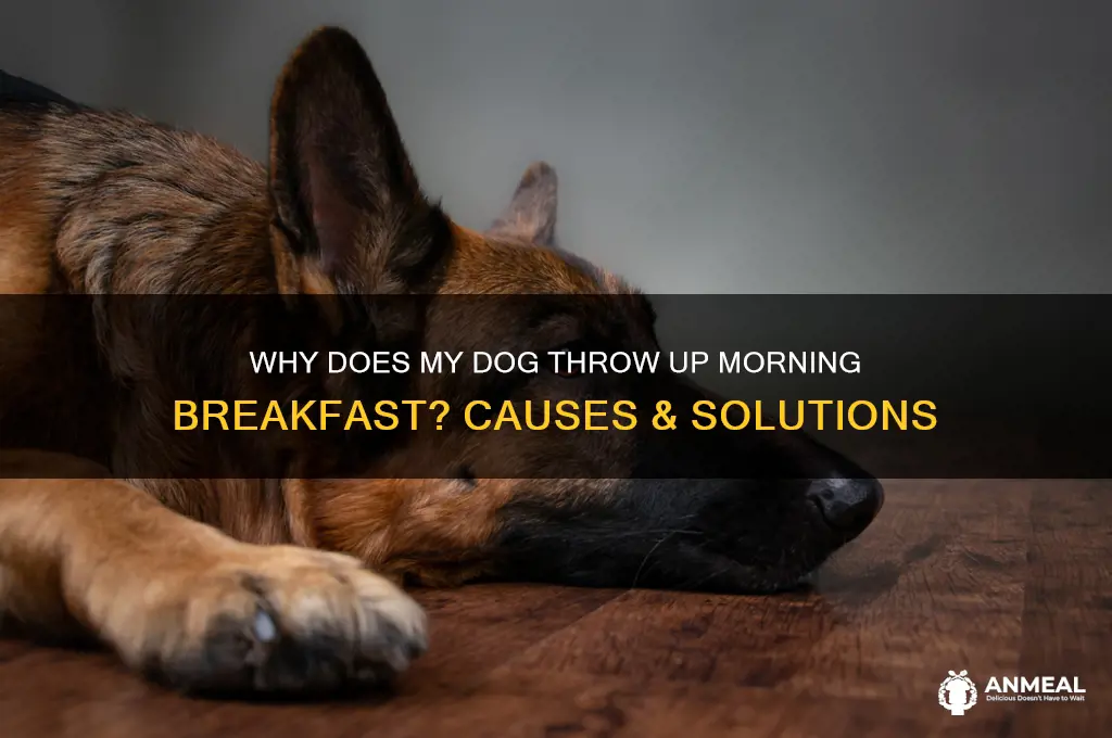 why does my dog throw up her morning breakfast