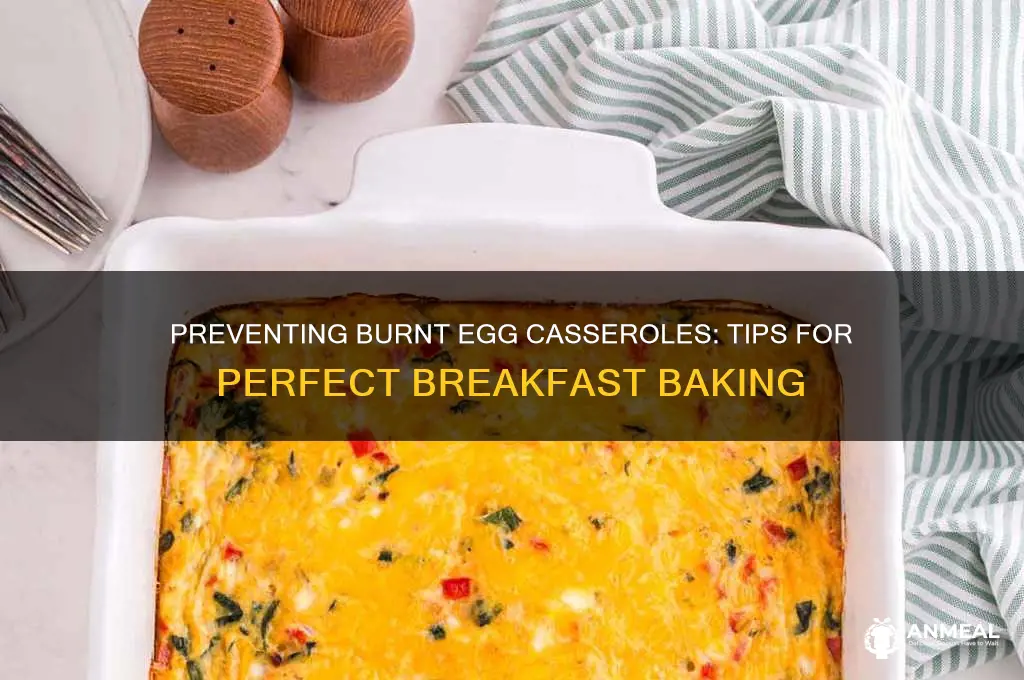 why does my egg breakfast casserole burn