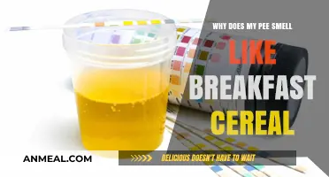 Why Does My Pee Smell Like Breakfast Cereal? Causes Explained