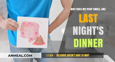 Why Your Poop Smells Like Last Night's Dinner: Explained