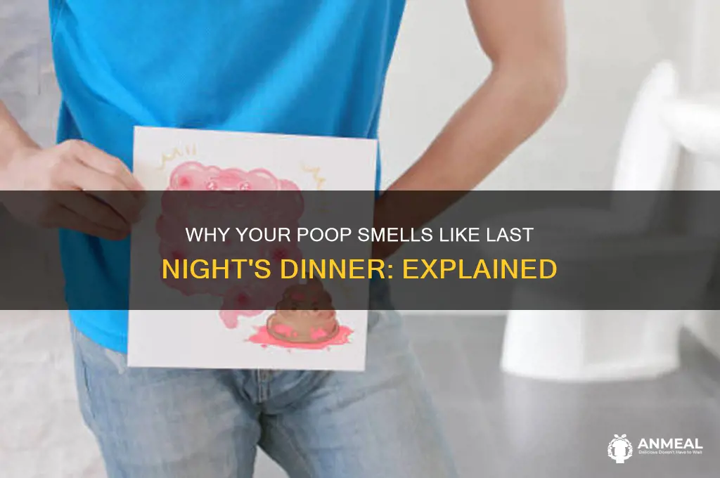 why does my poop smell like last night