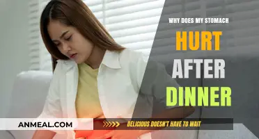 Post-Dinner Stomach Pain: Causes, Remedies, and When to Seek Help