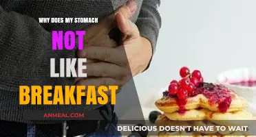 Why Breakfast Upsets My Stomach: Causes and Solutions Explained