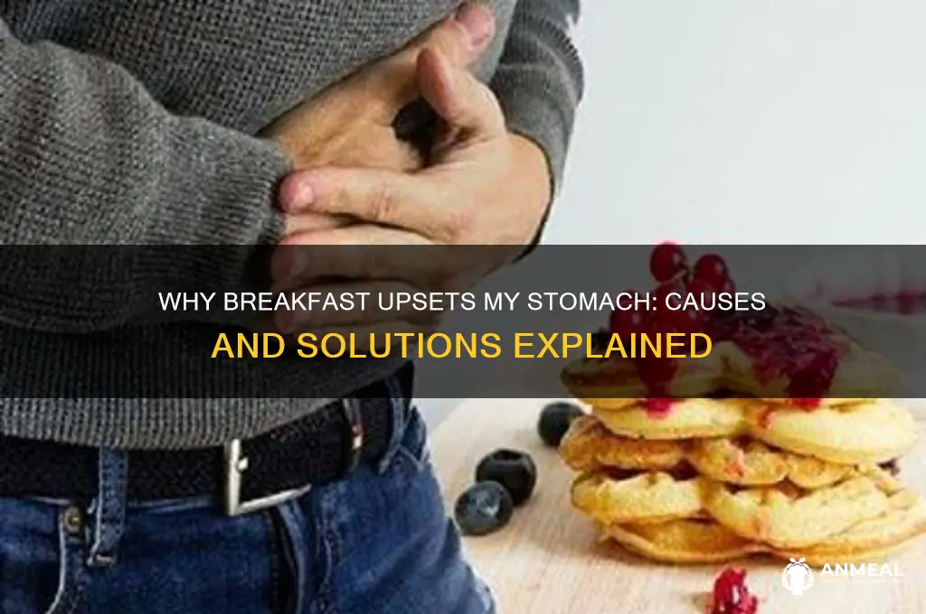 why does my stomach not like breakfast