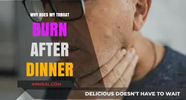 Post-Dinner Throat Burn: Causes, Remedies, and Prevention Tips