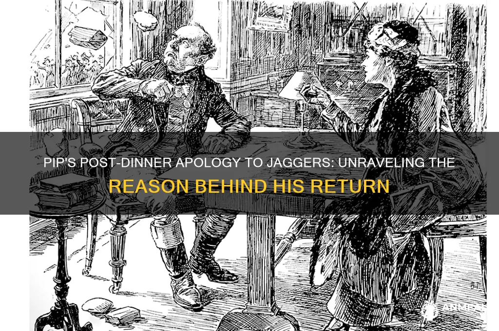 why does pip return after dinner to apologize to jaggers
