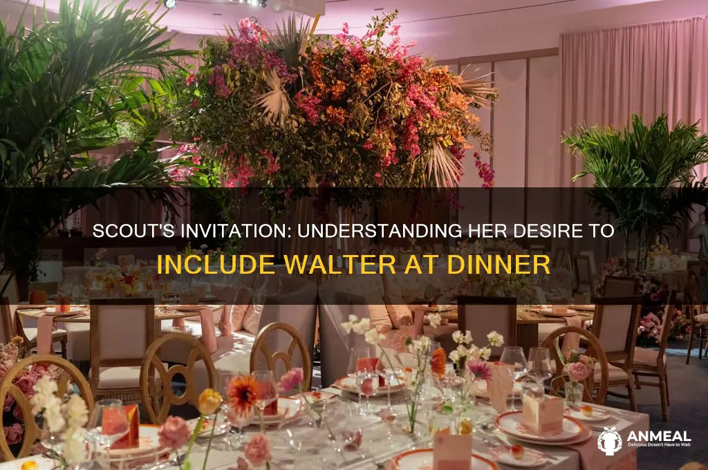 why does scout want to invite walter over for dinner