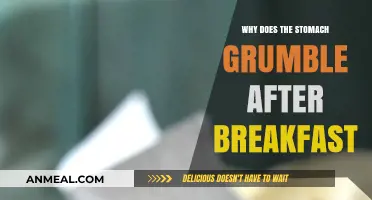Why Your Stomach Grumbles After Breakfast: Unraveling the Mystery