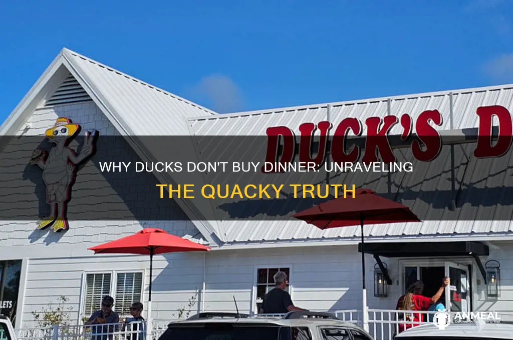 why dont ducks buy dinner