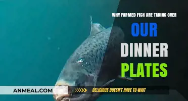 Farmed Fish Revolution: How Aquaculture is Dominating Our Diets