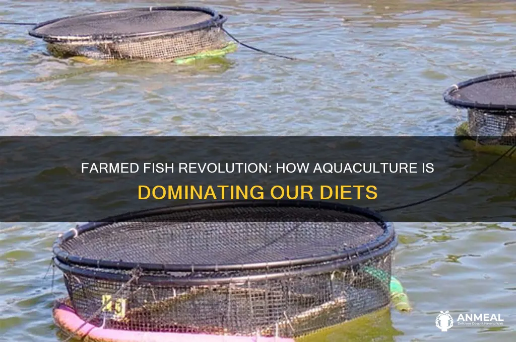 why farmed fish are taking over our dinner plates