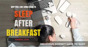 Post-Breakfast Sleepiness: Understanding the Urge to Nap After Eating