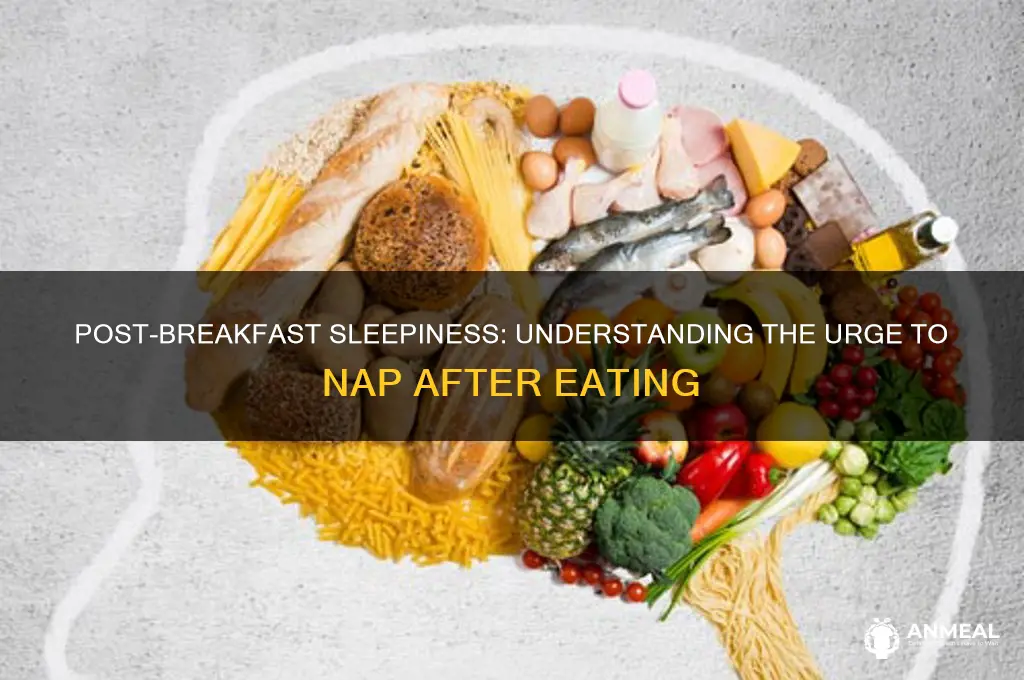 why feel like going back to sleep after breakfast