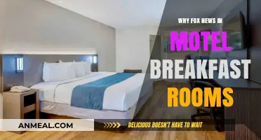 Why Fox News Dominates Motel Breakfast Rooms: A Cultural Analysis