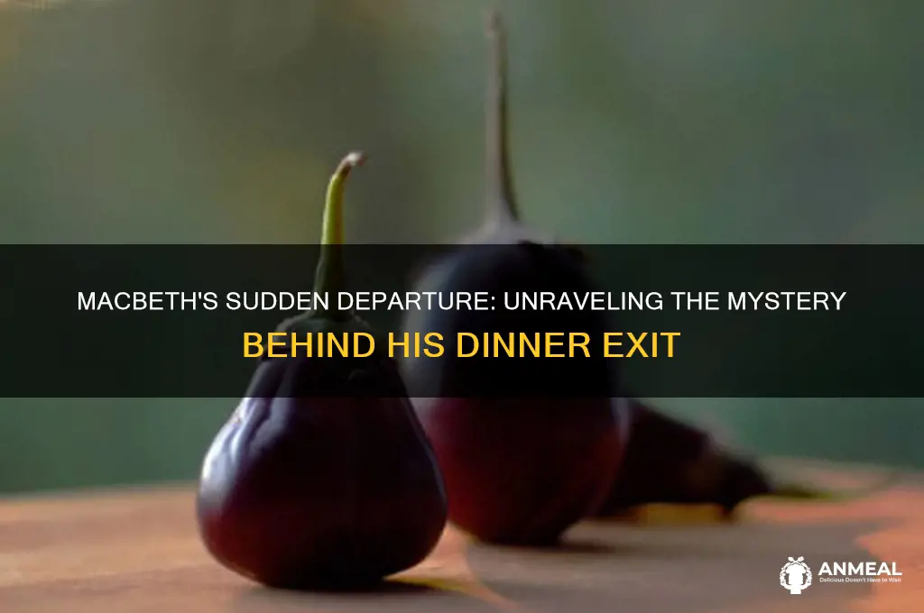 why has macbeth left the dinner