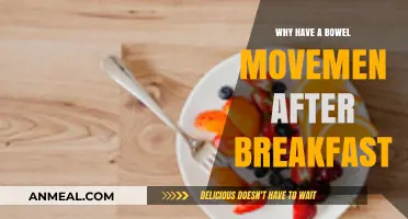 Morning Ritual: Why Breakfast Triggers Your Bowel Movement