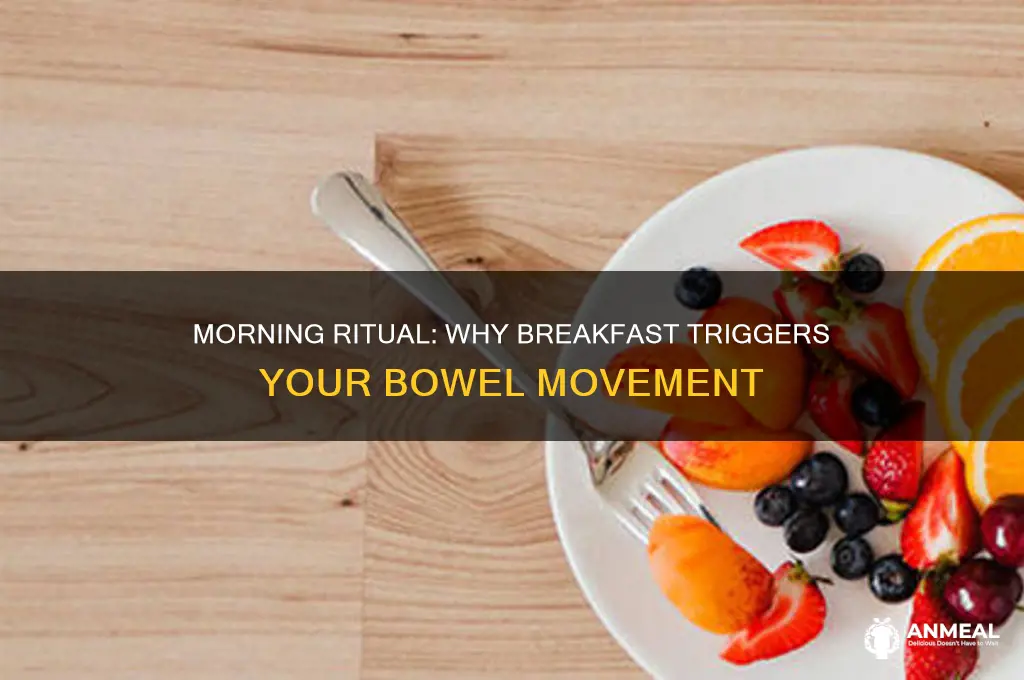 why have a bowel movemen after breakfast