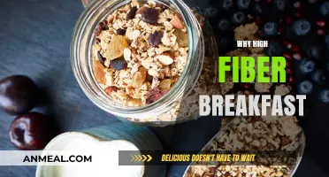 Boost Your Day: The Power of High-Fiber Breakfast Choices
