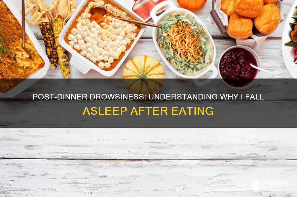 why i fall asleep after dinner