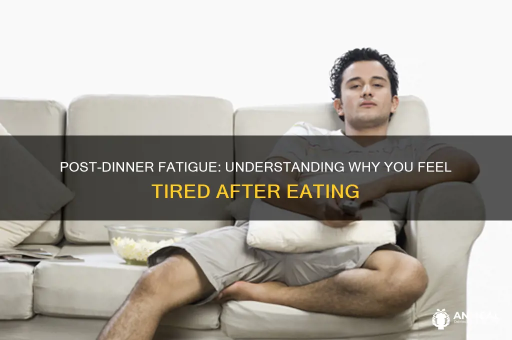 why im i tried after dinner