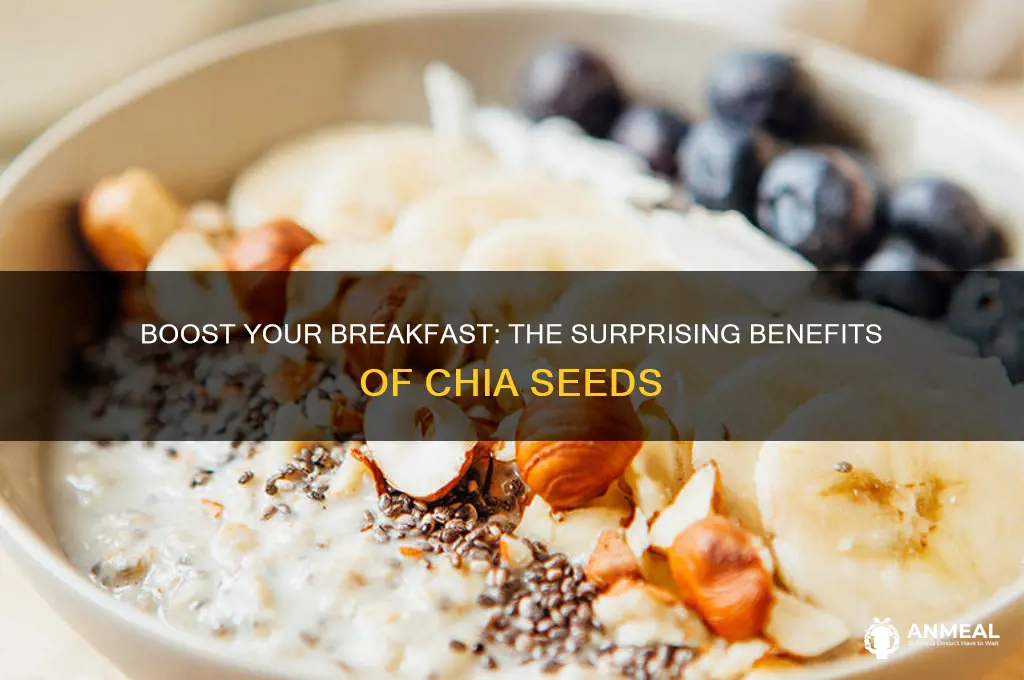 why include chia seeds in your breakfast