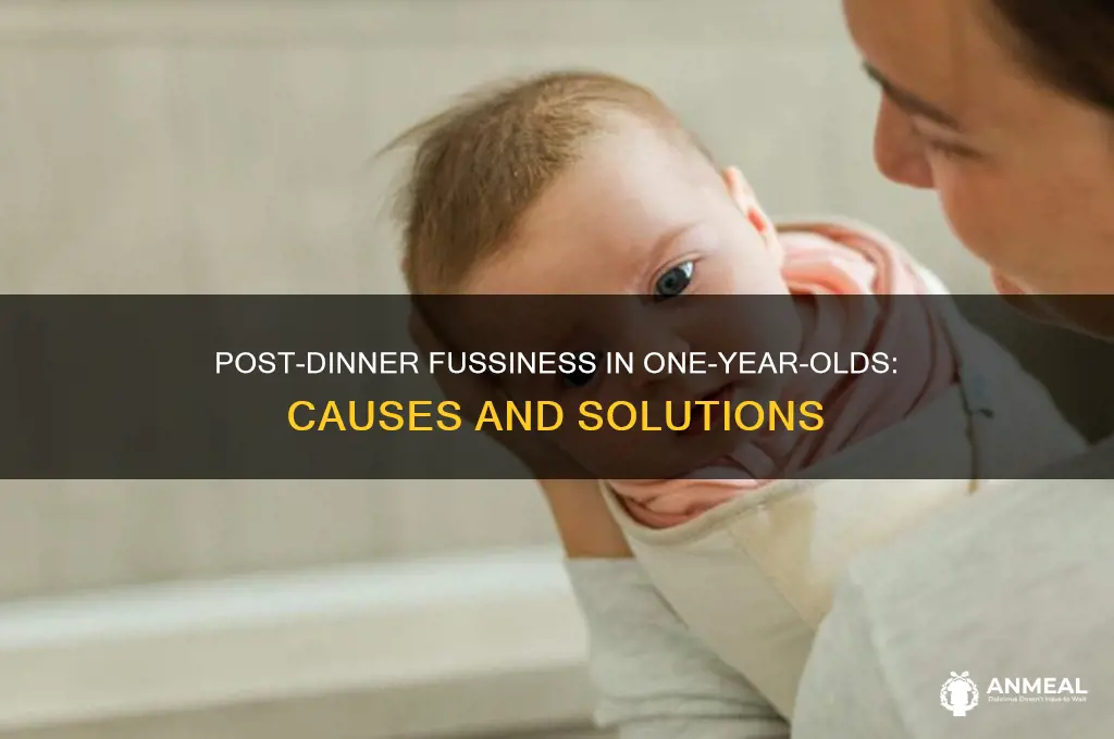 why is 1 year old baby fussy after dinner