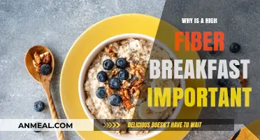 Boost Your Day: The Importance of a High-Fiber Breakfast