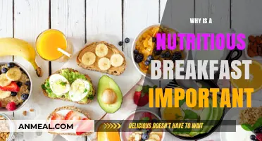 Fuel Your Day: The Vital Importance of a Nutritious Breakfast