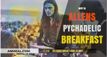 Unveiling the Mystique of Allen's Psychedelic Breakfast: A Deep Dive
