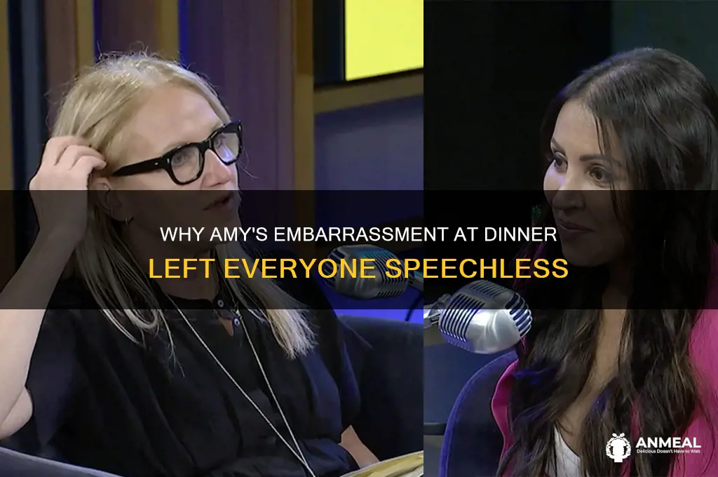 why is amy embarrassed at the dinner