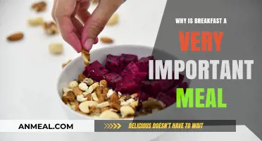 Fuel Your Day: Why Breakfast is the Most Important Meal