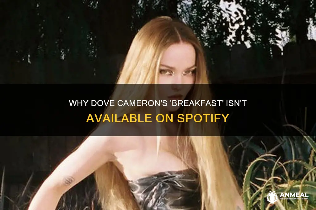 why is breakfast by dove cameron not on spotify