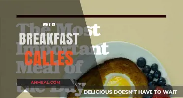 Why Breakfast is Called the Most Important Meal of the Day