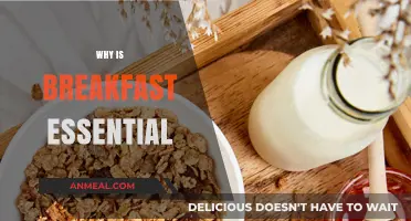 Why Breakfast is Essential: Fueling Your Day for Success