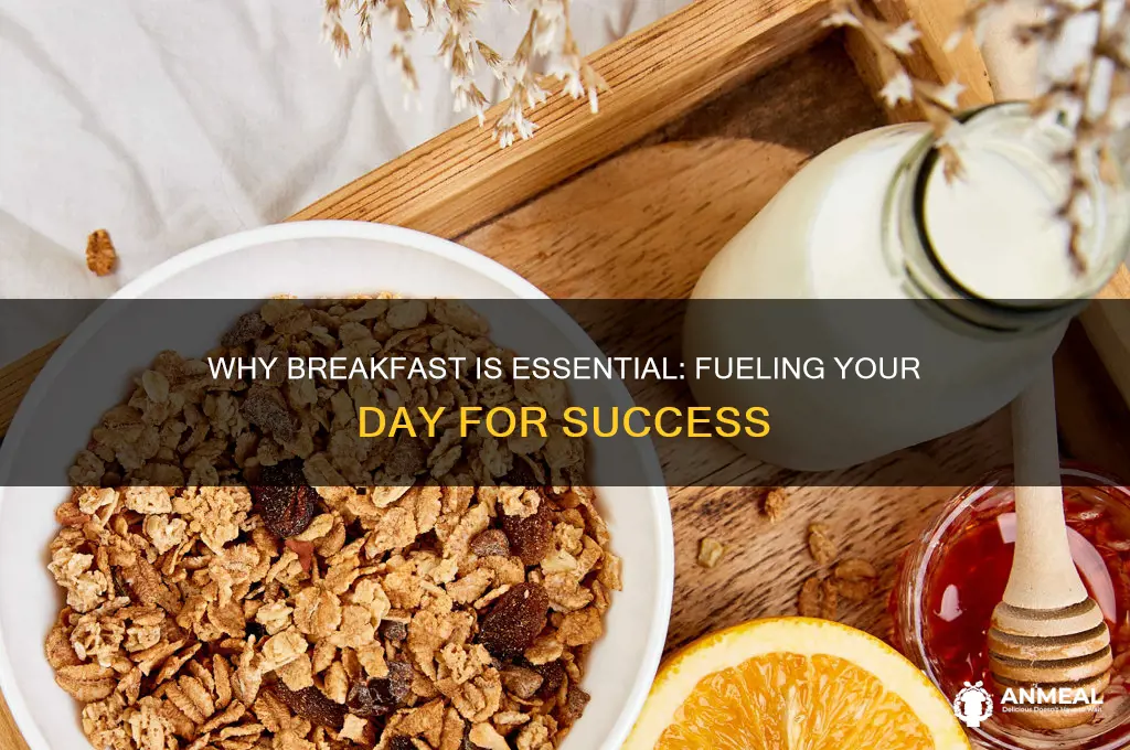 why is breakfast essential