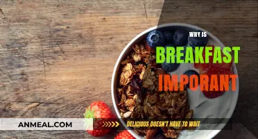 Why Breakfast Matters: Fueling Your Day for Optimal Health and Energy
