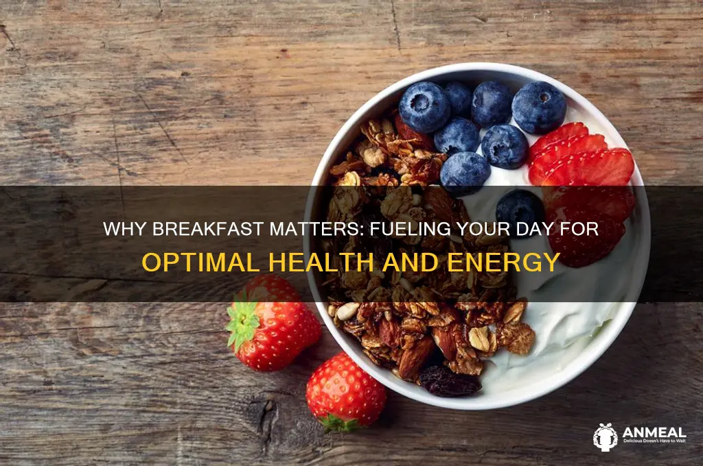 why is breakfast imporant