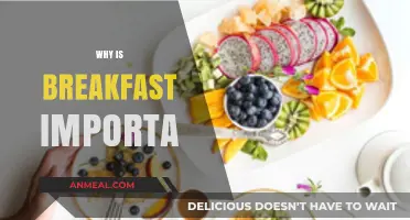 Why Breakfast is Crucial for Energy, Focus, and Daily Success