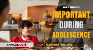 Fuel for Growth: The Crucial Role of Breakfast in Adolescence