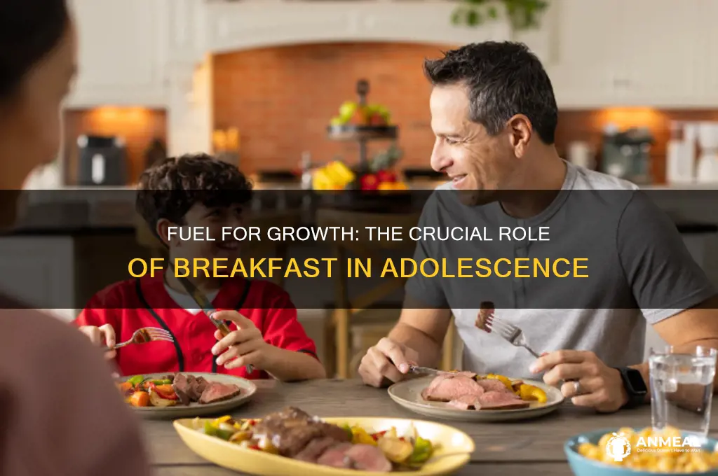 why is breakfast important during adolescence