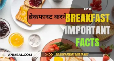 Why Breakfast Matters: Essential Facts for a Healthy Start