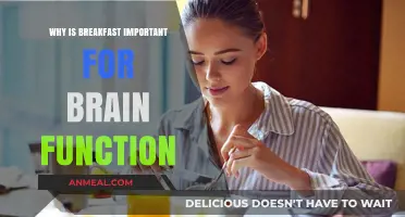 Boost Your Brain Power: The Essential Role of Breakfast